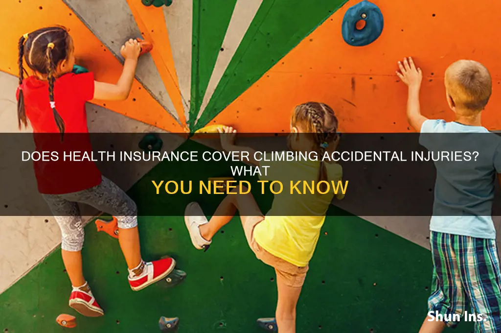 does health insurance cover climbing accidental injuries