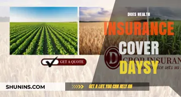 Does Health Insurance Cover Daysy? Understanding Your Fertility Tracker Coverage