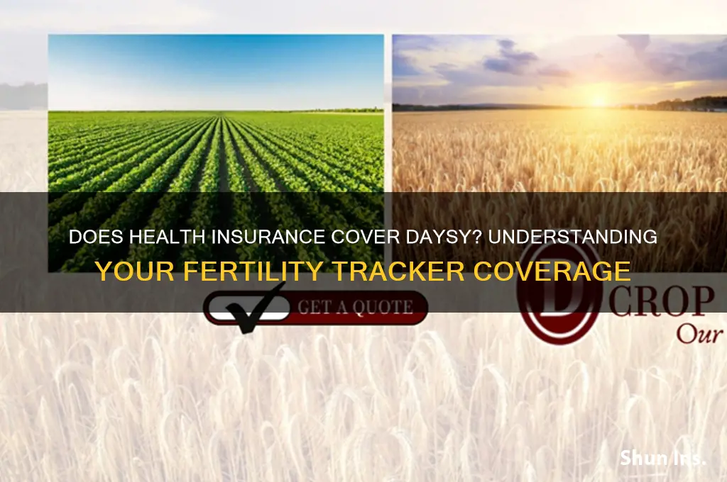 does health insurance cover daysy
