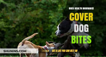 Does Health Insurance Cover Dog Bites? What You Need to Know