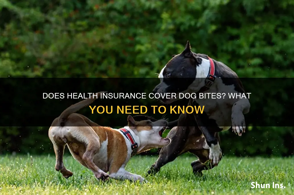 does health insurance cover dog bites