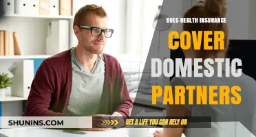Does Health Insurance Cover Domestic Partners? Key Facts to Know