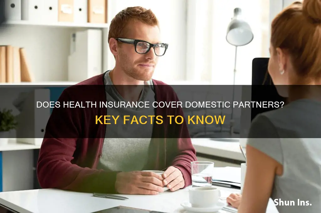does health insurance cover domestic partners
