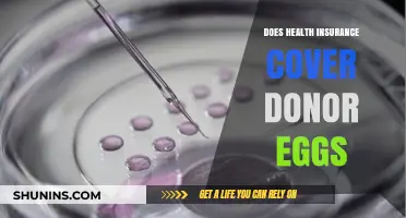 Does Health Insurance Cover Donor Eggs? What You Need to Know