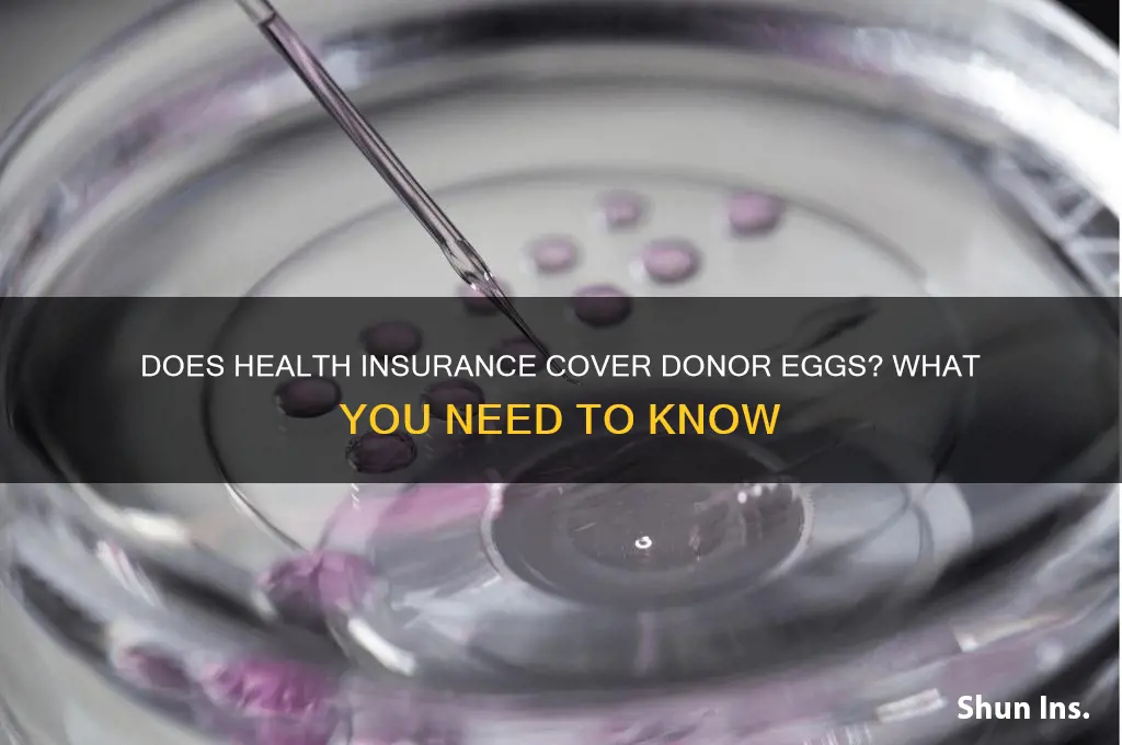 does health insurance cover donor eggs