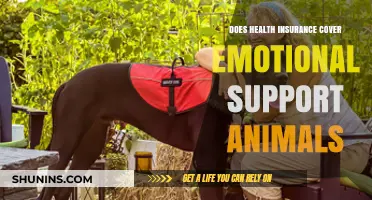 Does Health Insurance Cover Emotional Support Animals? What You Need to Know
