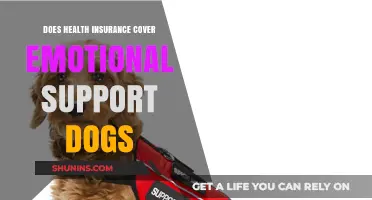 Does Health Insurance Cover Emotional Support Dogs? What You Need to Know