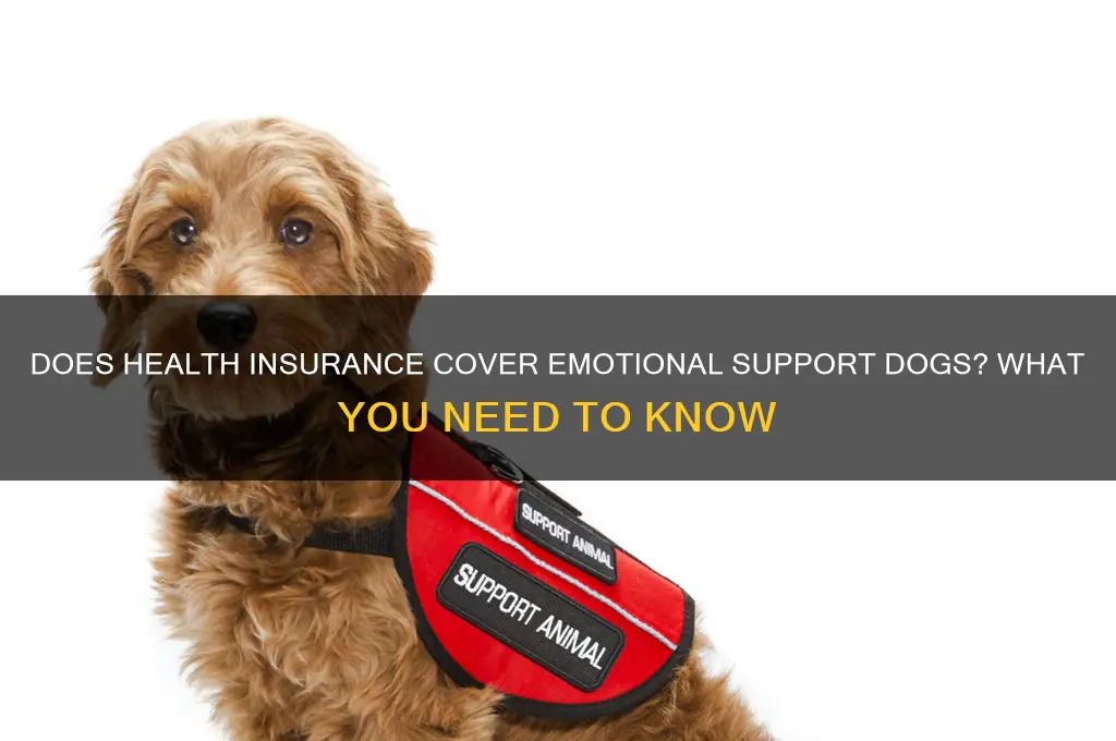 does health insurance cover emotional support dogs