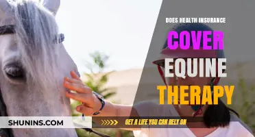 Does Health Insurance Cover Equine Therapy? What You Need to Know