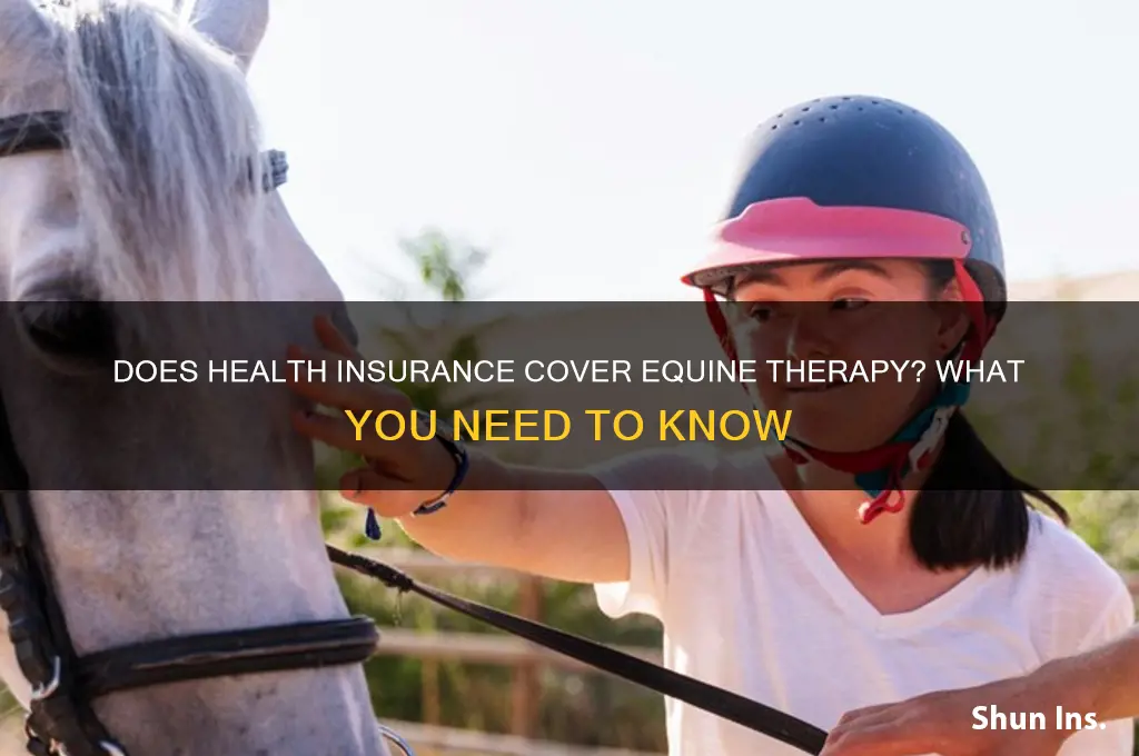 does health insurance cover equine therapy