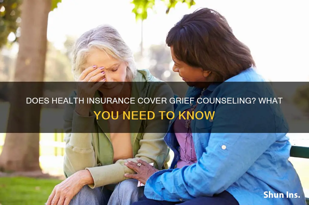 does health insurance cover grief counseling