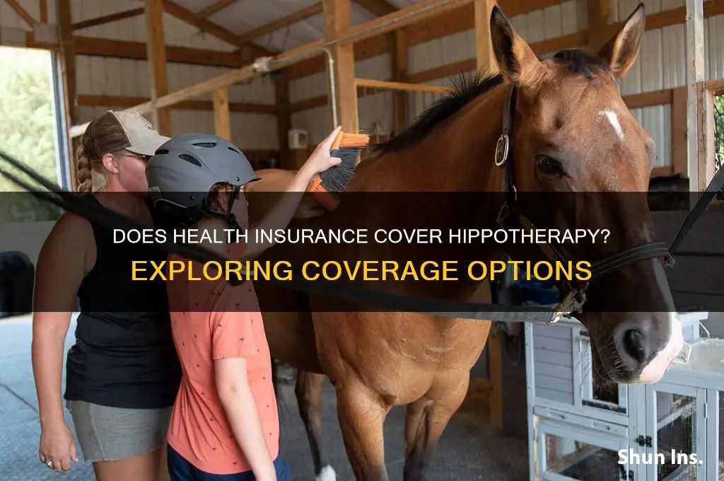 does health insurance cover hippotherapy