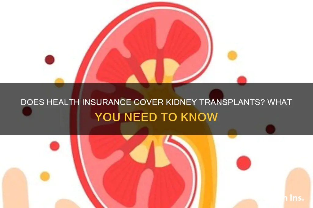 does health insurance cover kidney transplant