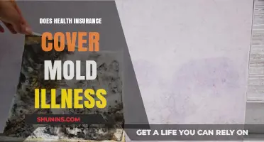 Does Health Insurance Cover Mold Illness? What You Need to Know