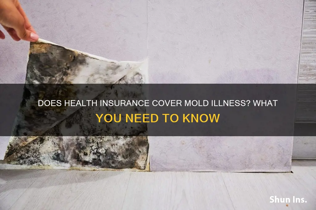 does health insurance cover mold illness