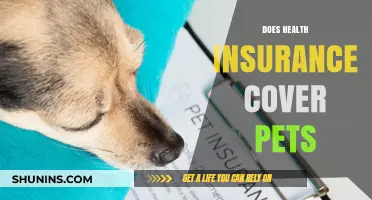 Does Health Insurance Cover Pets? Exploring Options for Your Furry Friends