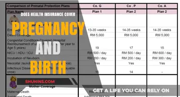 Pregnancy and Birth Coverage: What Your Health Insurance May Offer
