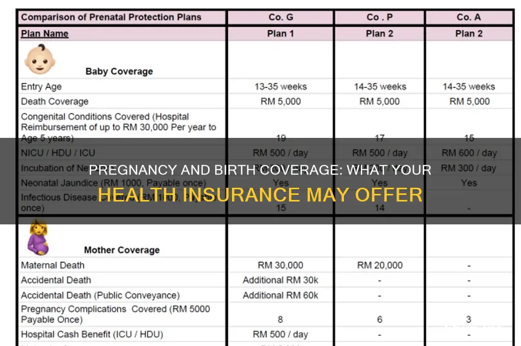 does health insurance cover pregnancy and birth