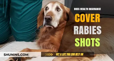Does Health Insurance Cover Rabies Shots? What You Need to Know