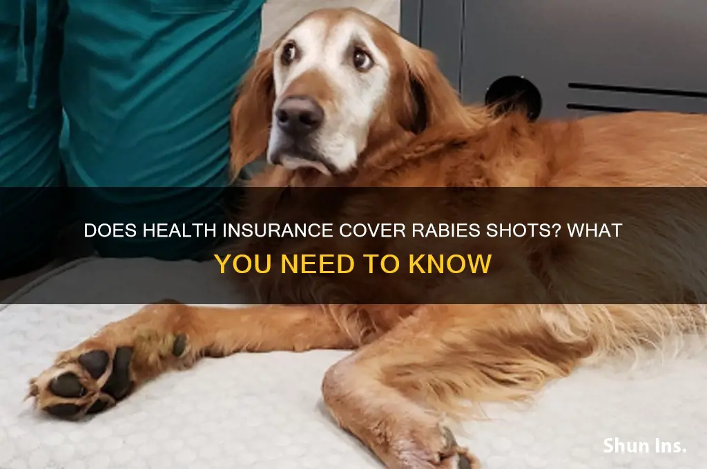 does health insurance cover rabies shots