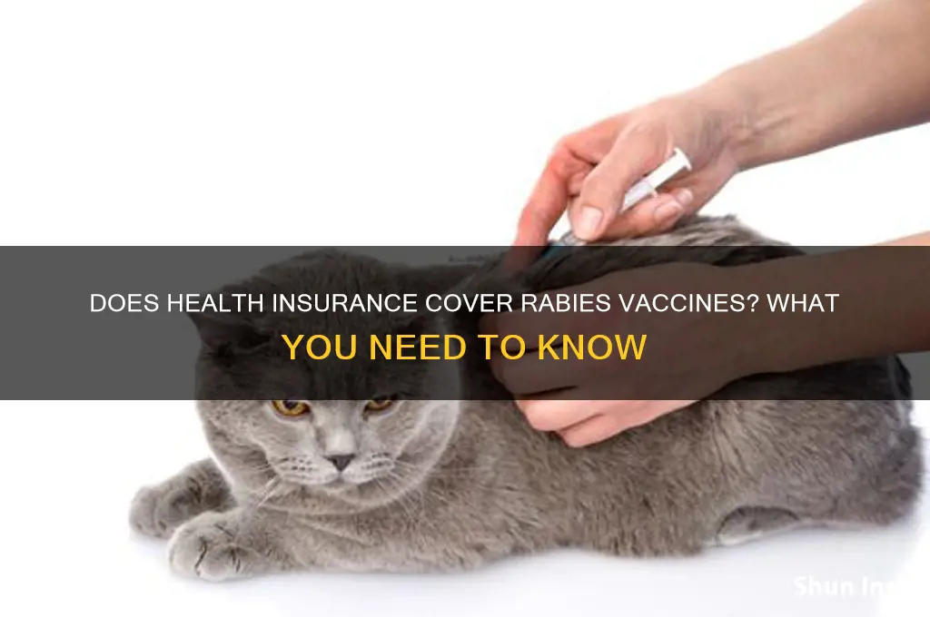 does health insurance cover rabies vaccine
