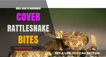 Rattlesnake Bites and Health Insurance: What's Covered in Emergencies?