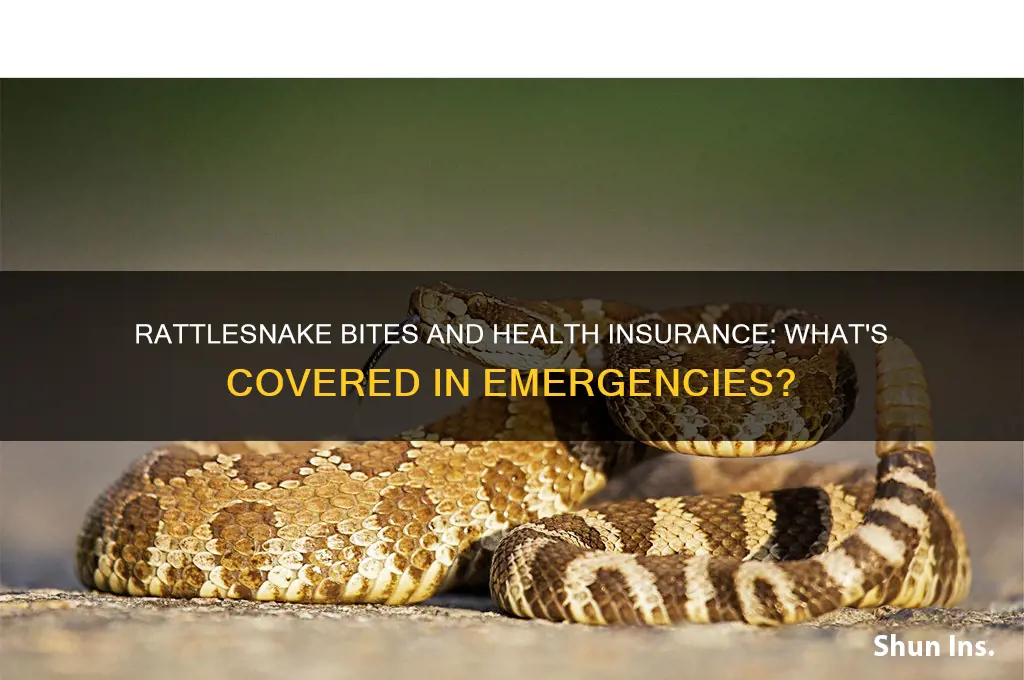 does health insurance cover rattlesnake bites