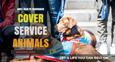 Does Health Insurance Cover Service Animals? What You Need to Know