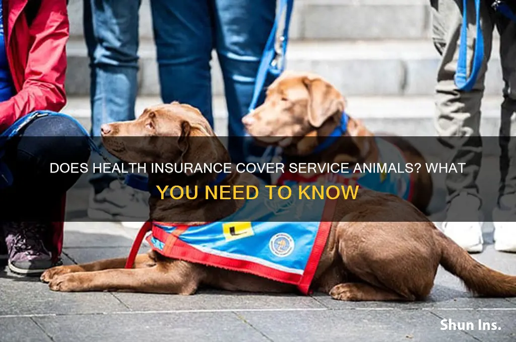 does health insurance cover service animals