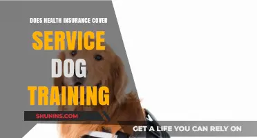 Does Health Insurance Cover Service Dog Training? What You Need to Know
