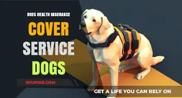 Does Health Insurance Cover Service Dogs? What You Need to Know