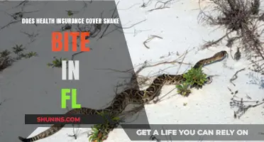 Does Florida Health Insurance Cover Snake Bite Treatment Costs?