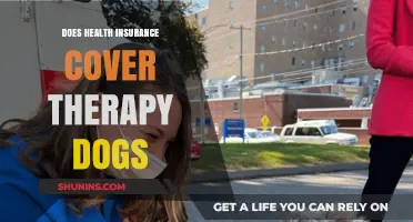 Does Health Insurance Cover Therapy Dogs? Exploring Coverage Options