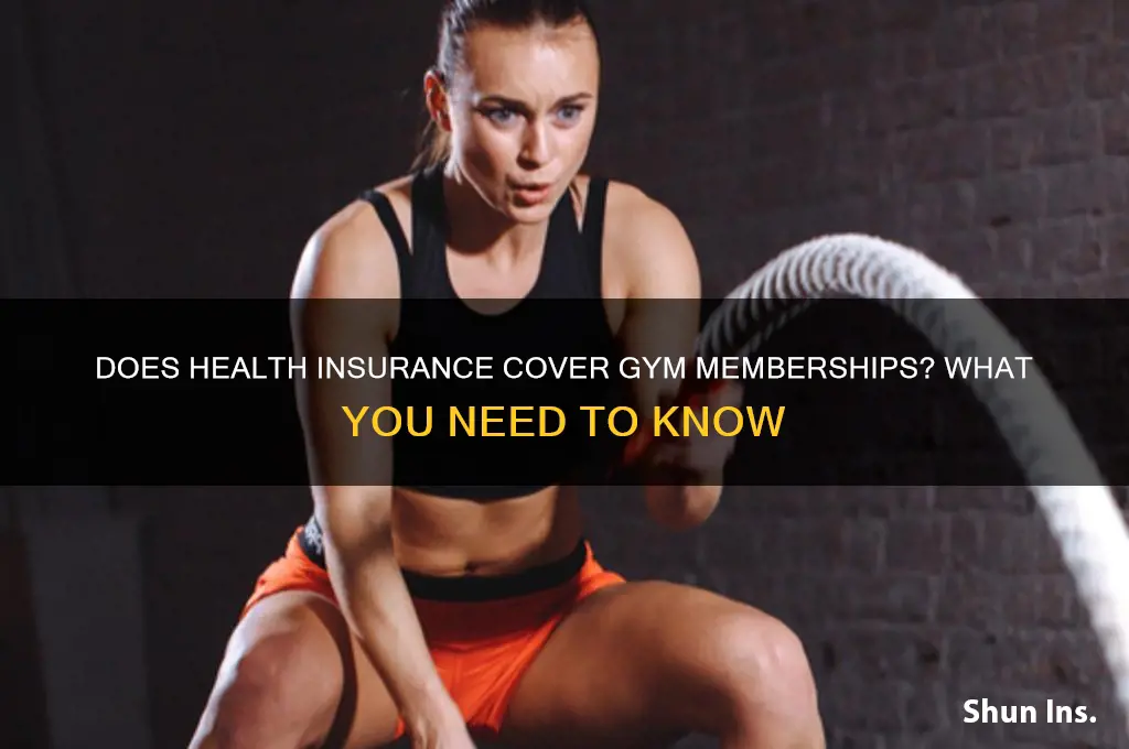 does health insurance dover gym