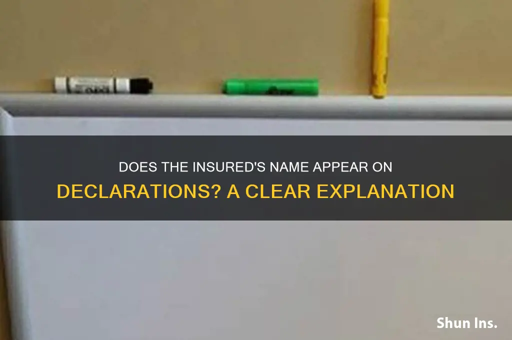 does hename of an insured appear on the declarations