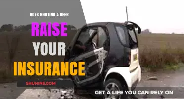 Does Hitting a Deer Affect Your Insurance Rates?
