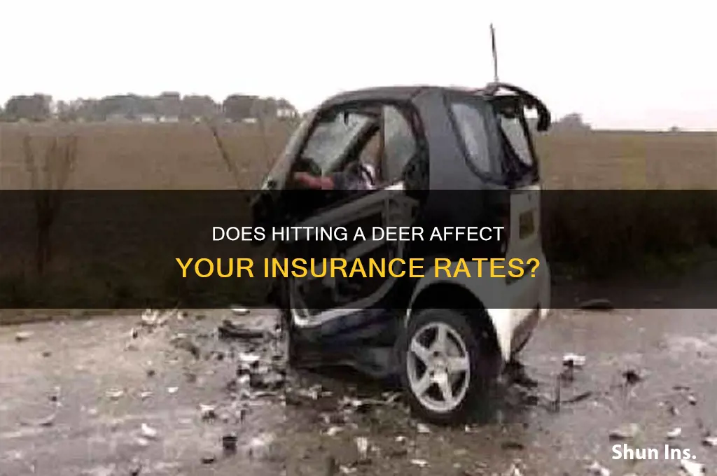 does hhitting a deer raise your insurance