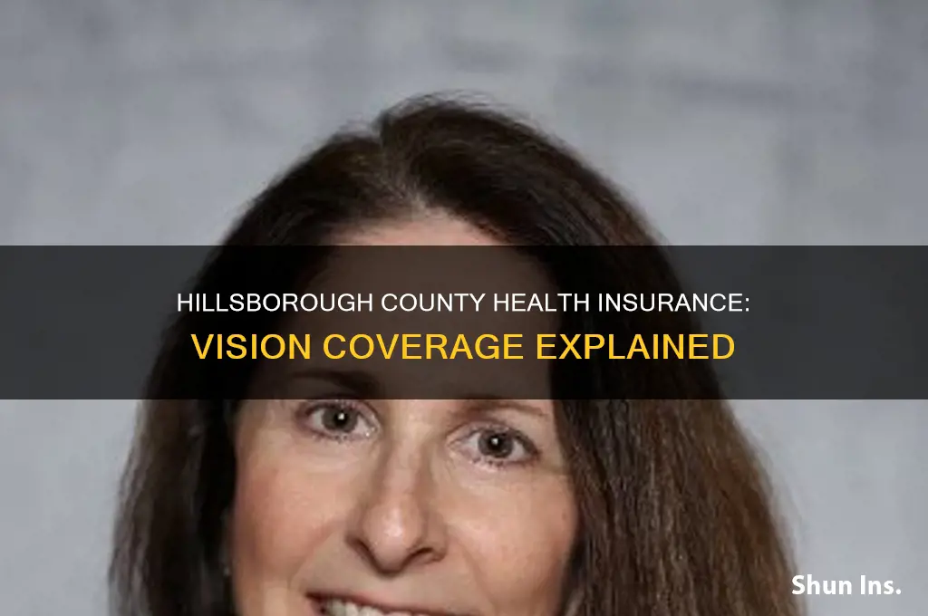 does hillsborough county health insurance cover vision