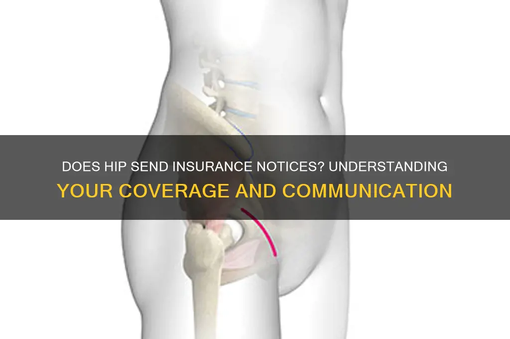 does hip send a insurance notice