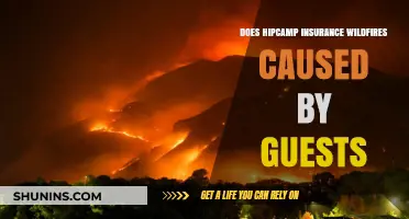 Hipcamp Insurance Coverage: Wildfire Liability for Guest-Caused Incidents Explained