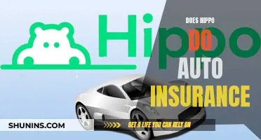 Hippo: Your One-Stop Shop for Auto Insurance?