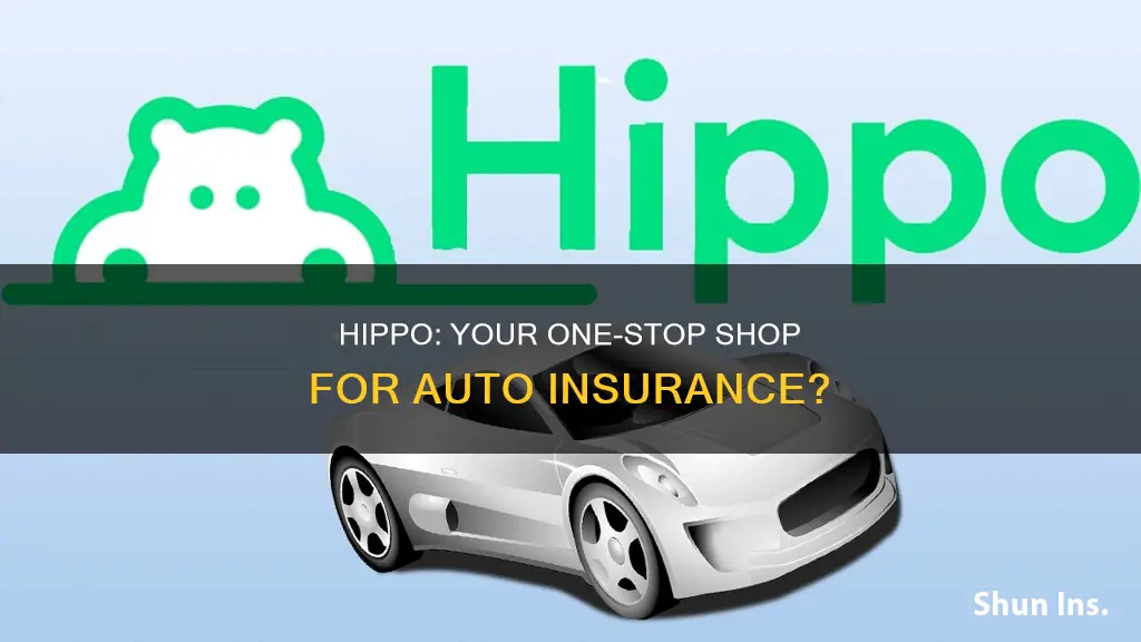 does hippo do auto insurance