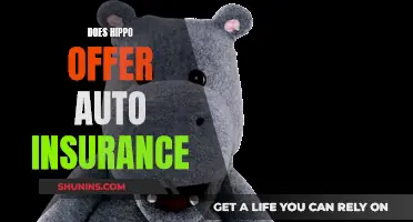 Hippo: Auto Insurance Options