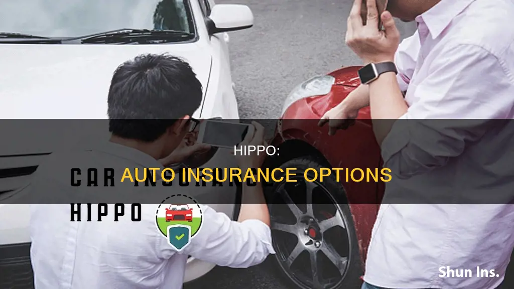 does hippo offer auto insurance