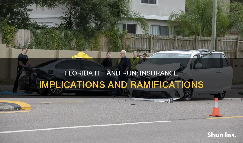 does hit and run raise insurance florida