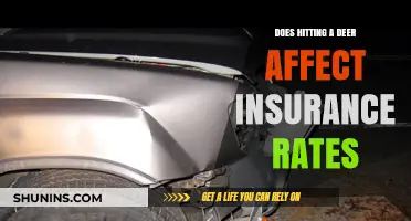 Hitting a Deer: What's the Impact on Insurance Rates?