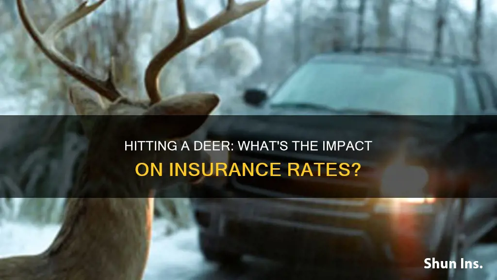 does hitting a deer affect insurance rates
