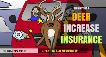 Hitting a Deer: How It Impacts Your Car Insurance Rates
