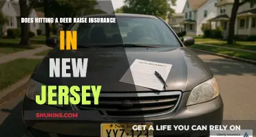 Does Hitting a Deer Increase Insurance Rates in New Jersey?