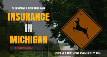Does Hitting a Deer Increase Car Insurance Rates in Michigan?